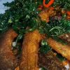 Chạch chiên lá lốt
