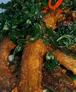 Chạch chiên lá lốt