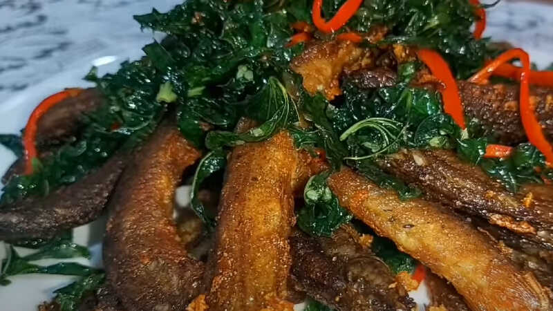 Chạch chiên lá lốt